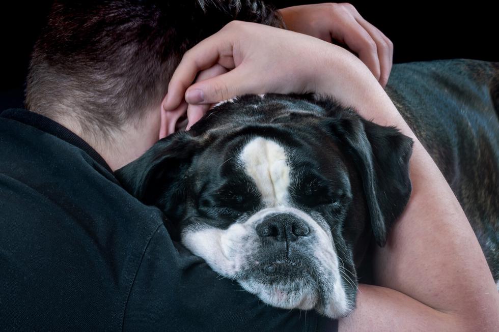 17 quieren ser perros 17 quieren ser perros