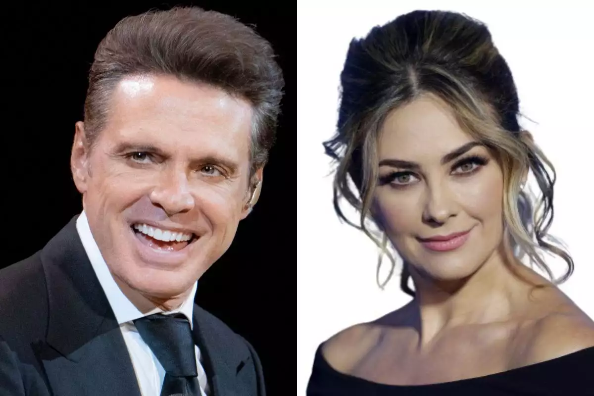 Es mentira Aracely Arámbula no demandó a Luis Miguel por pensión a sus hijos Ocio En