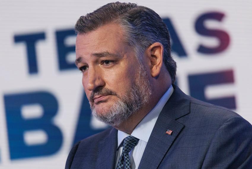 1015 Cruz Allred Debate ST TT 26