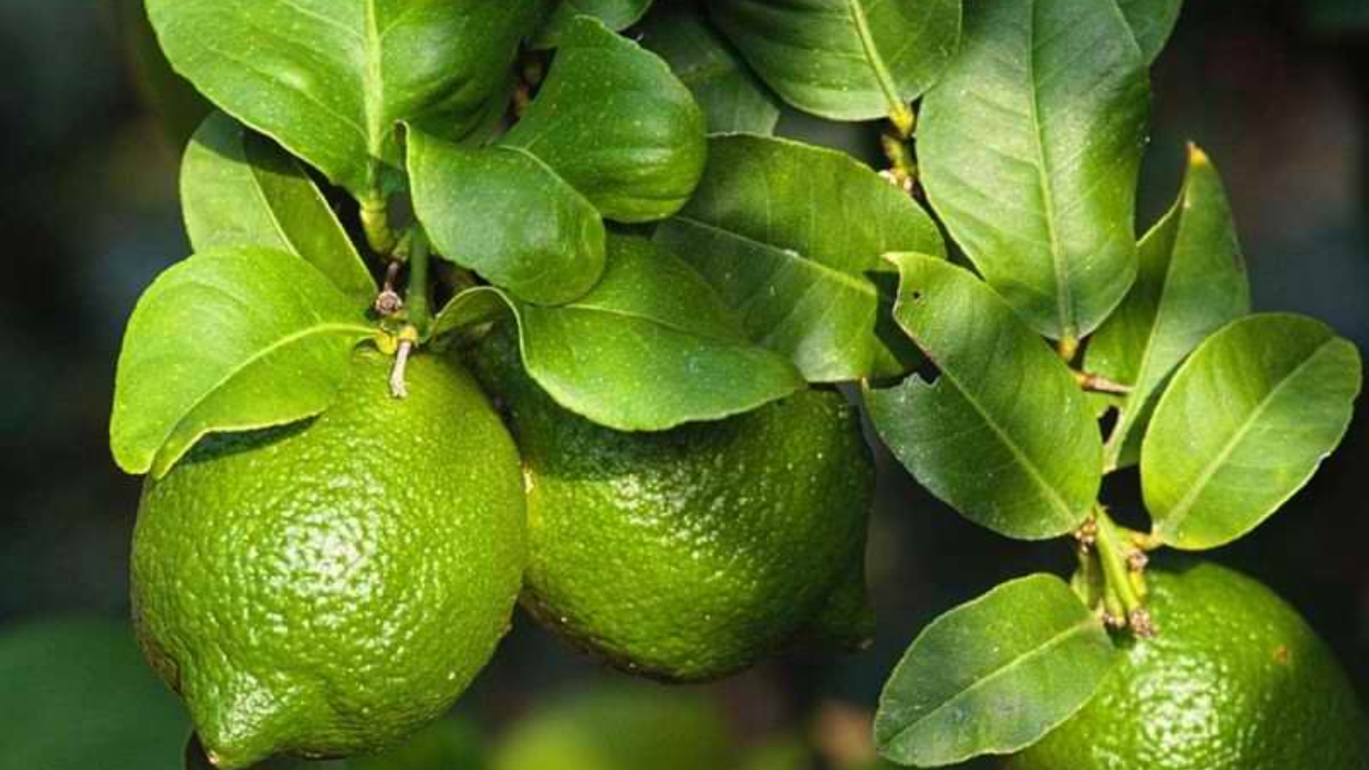 44XUNWJNFBEX5CTZGYGZMAZ45Y