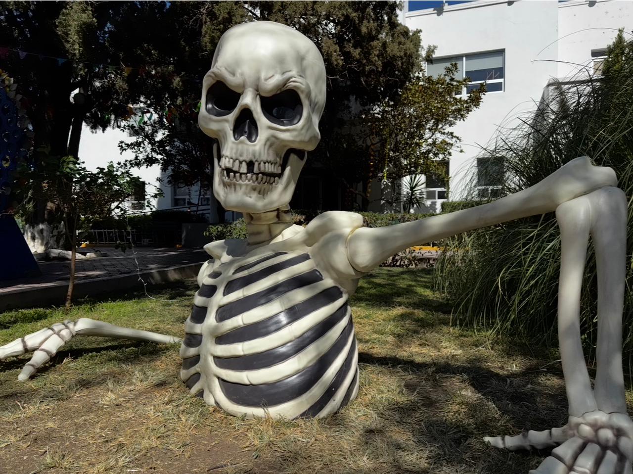 65db9660-3b70-4b3a-923f-28504a2f6bb0 65db9660-3b70-4b3a-923f-28504a2f6bb0