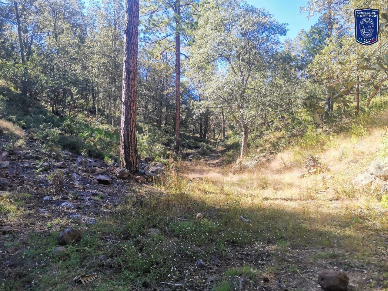 IMG-20251028-WA0124 IMG-20251028-WA0124