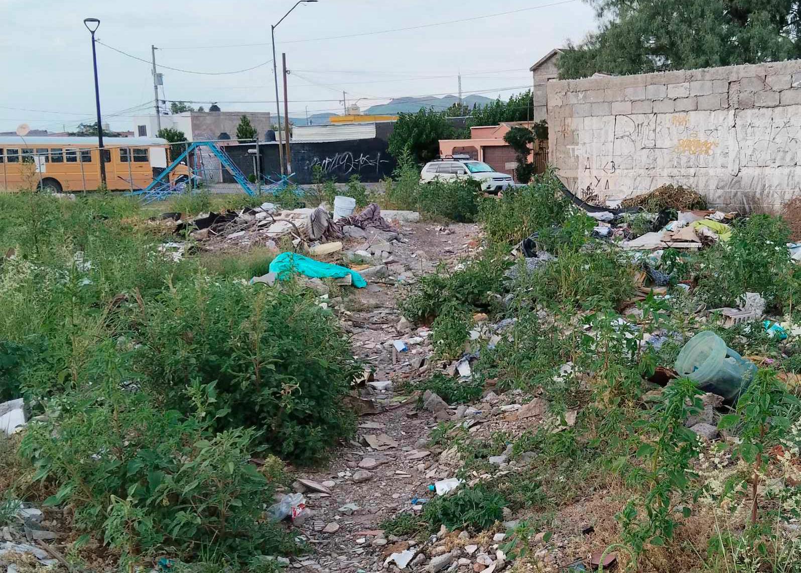 IMG-20251029-WA0004 IMG-20251029-WA0004