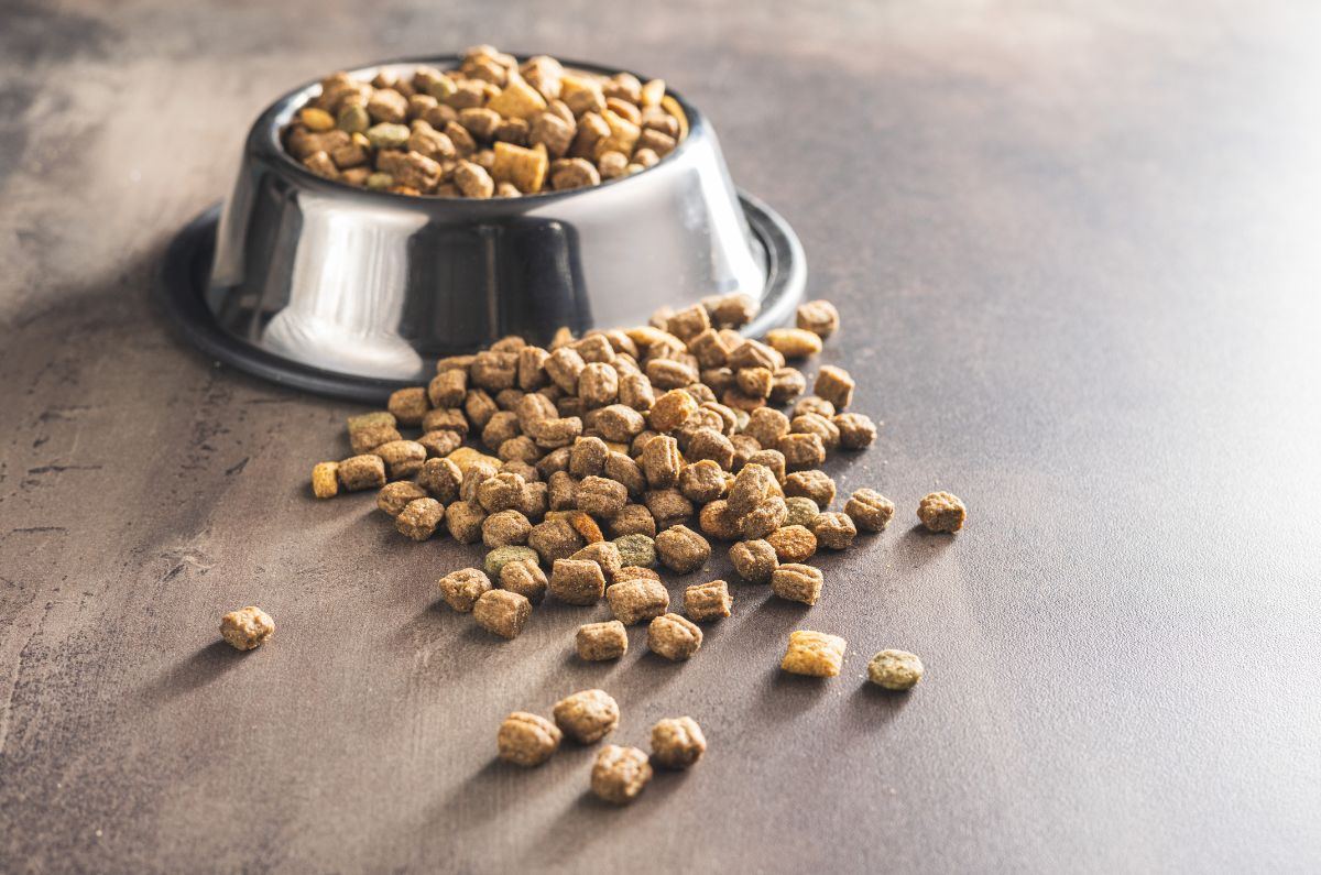 casi-nadie-las-compra-pero-estas-son-las-croquetas-mexicanas-con-mas-proteina-segun-profeco