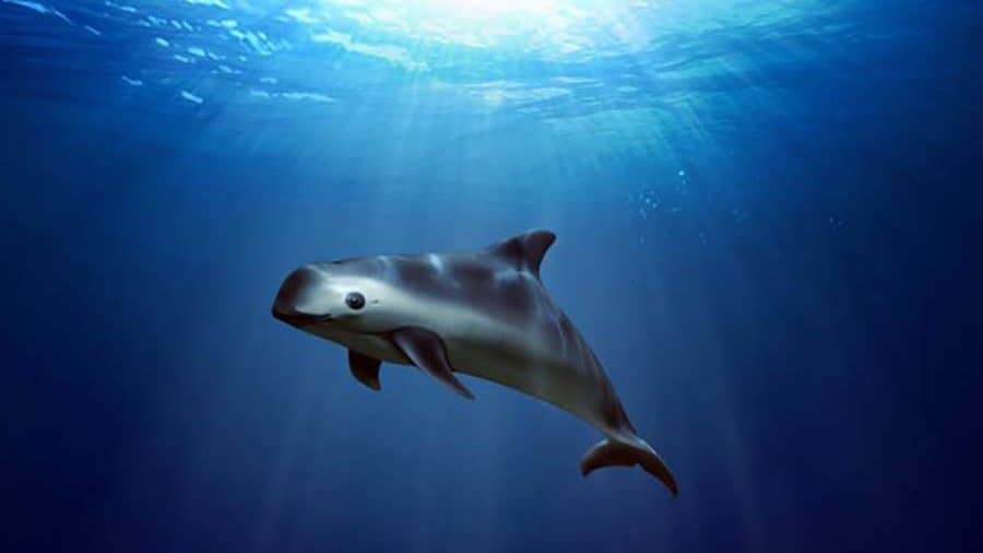 cropped-5ca643ce7df94 cropped-5ca643ce7df94