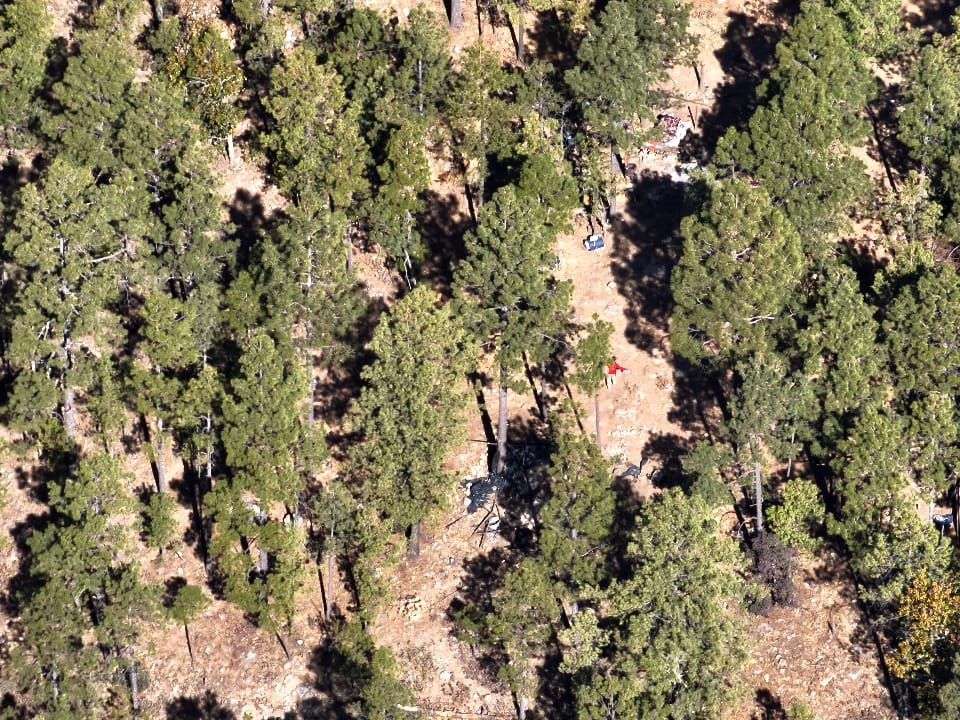 e1af0124-0ff6-4257-86b0-3348cb913814.JPG e1af0124-0ff6-4257-86b0-3348cb913814.JPG