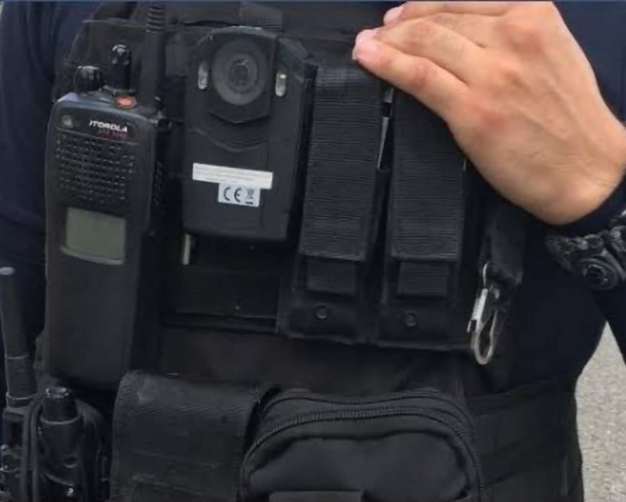 photo_2023-11-12_14-17-23 photo_2023-11-12_14-17-23