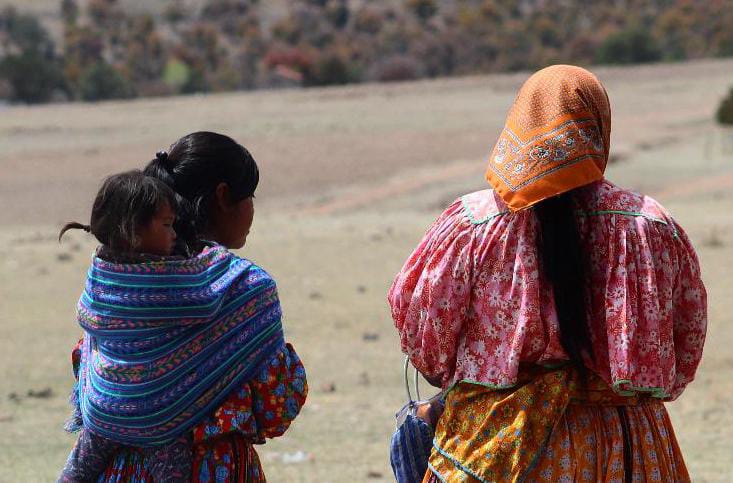 IMG-20251101-WA0007 IMG-20251101-WA0007