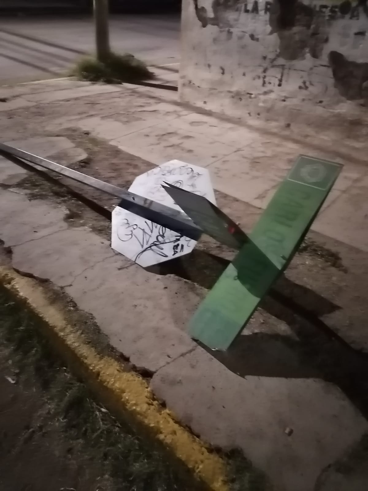 IMG-20251103-WA0012(1)