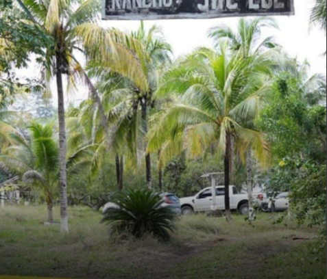 Opera Captura de pantalla_2025-11-12_132156_www.instagram.com