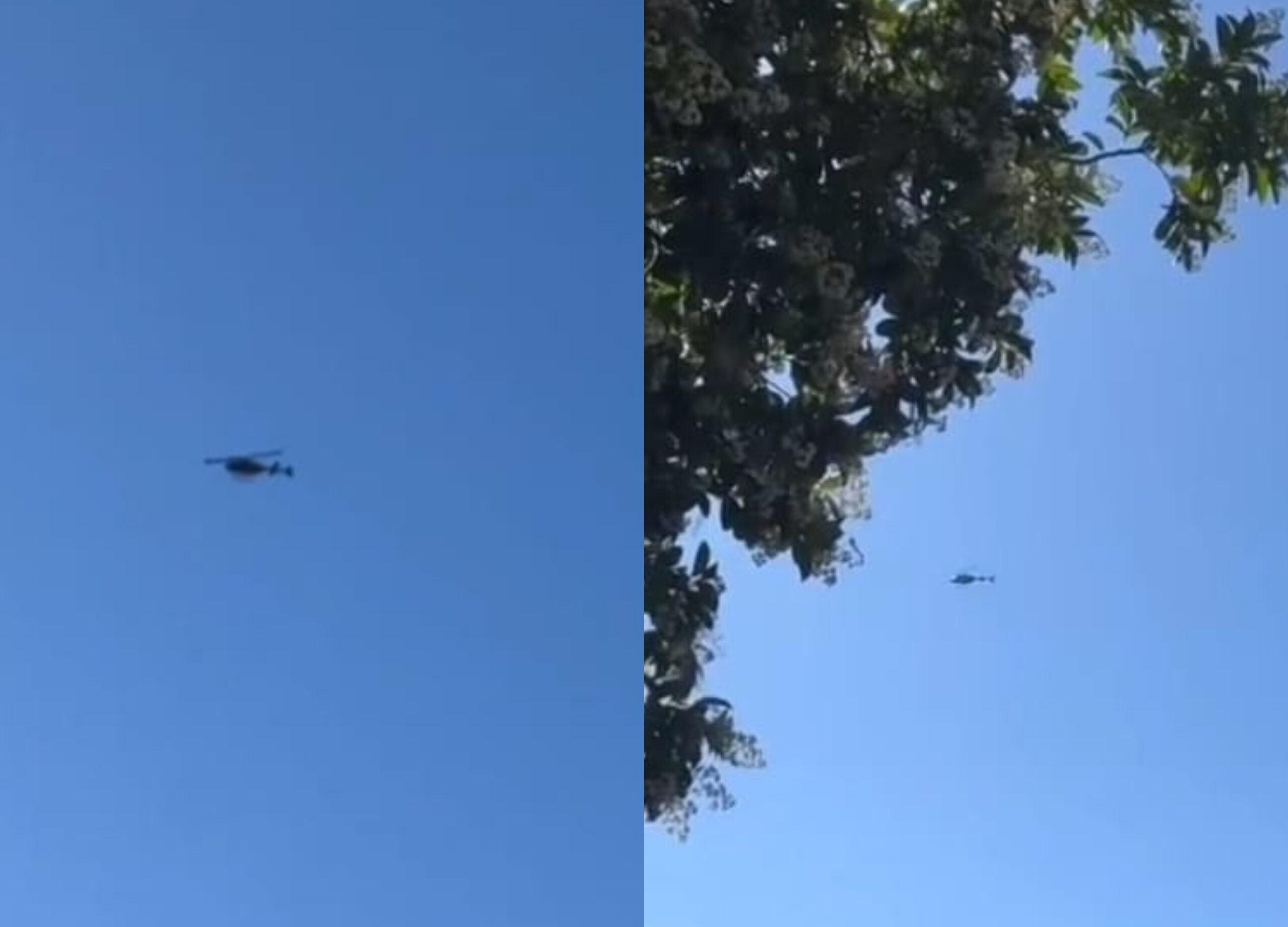 befunky_2025-10-4_6-26-26