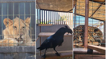 74O4Z5O7GVDSVDBT4D645WPJU4