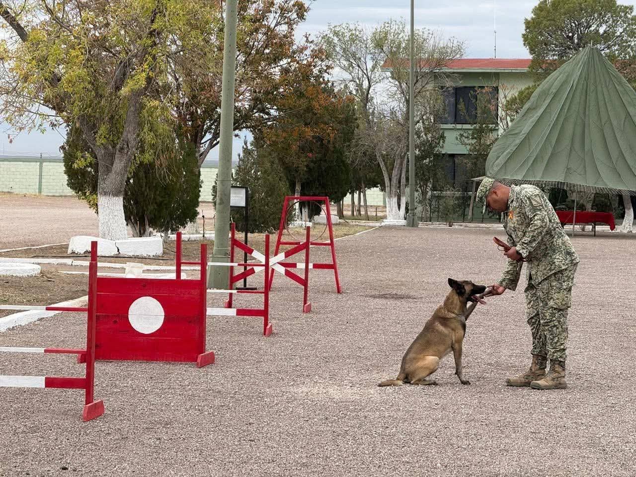 FB_IMG_1765032630655