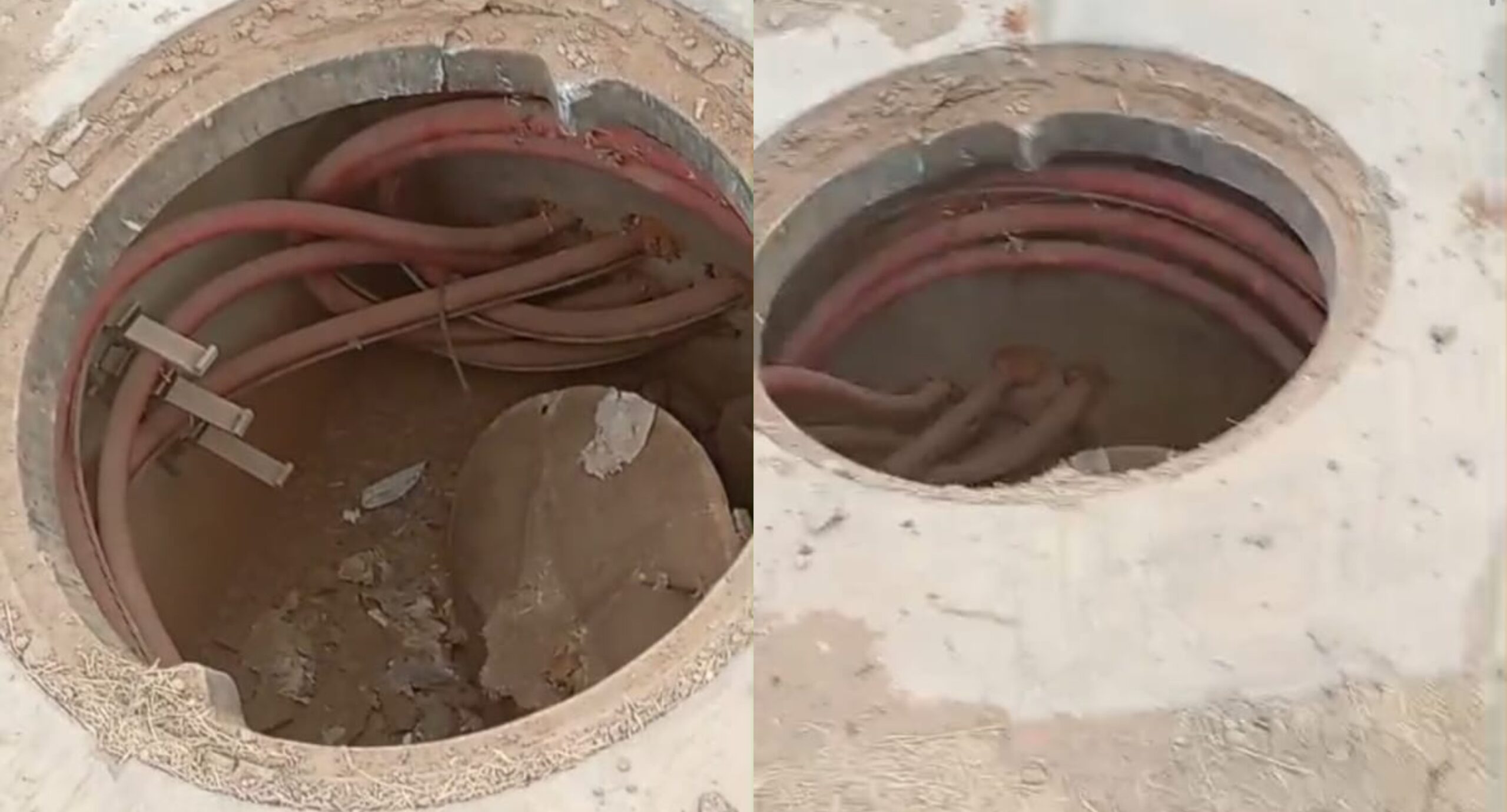 befunky_2025-11-1_8-30-23