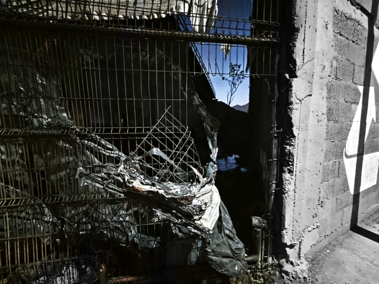 ColorPop1768398033513