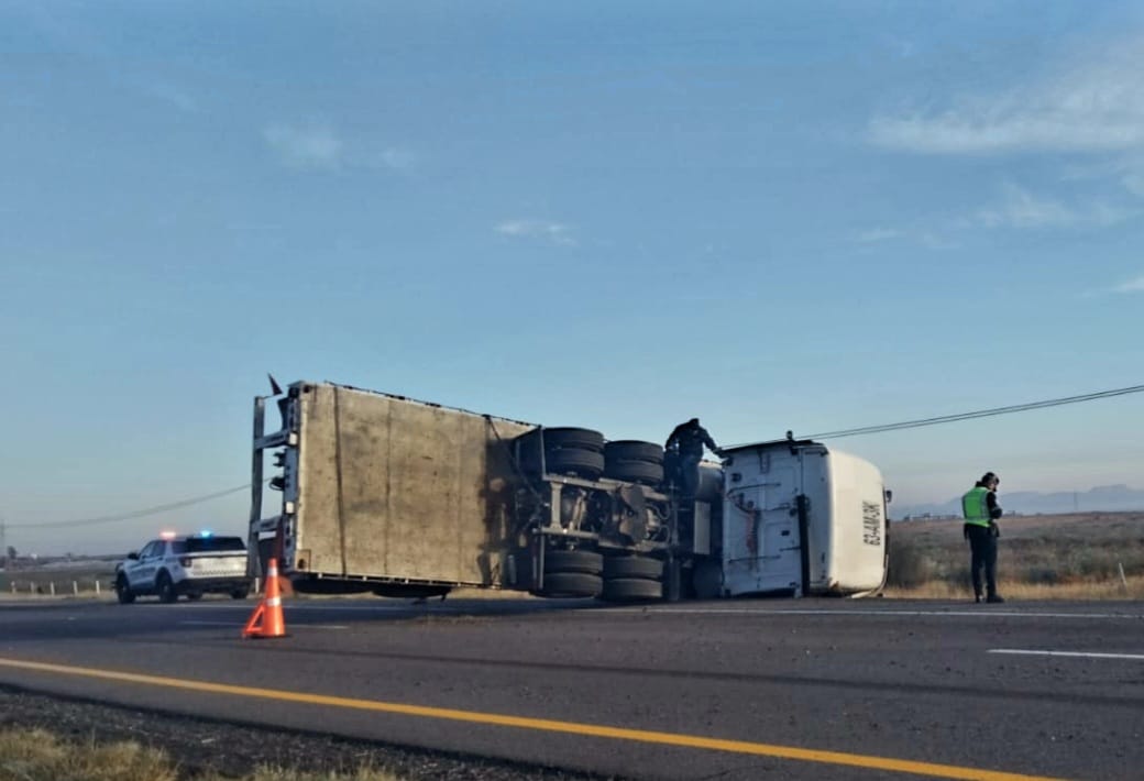 WhatsApp Image 2026-01-14 at 10.14.04 AM