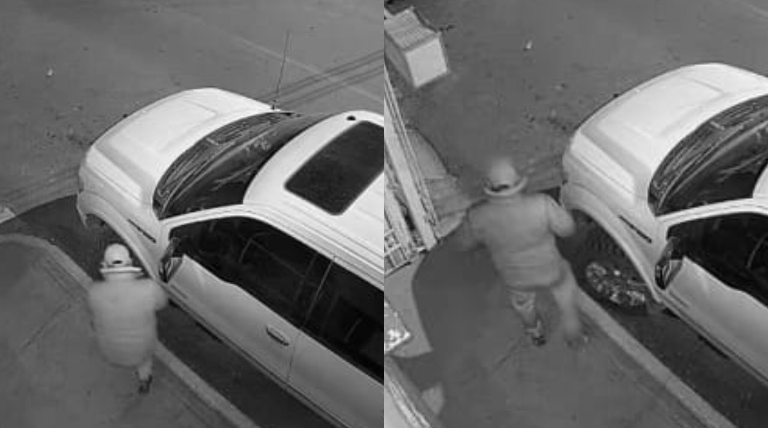 befunky_2026-0-1_8-41-25