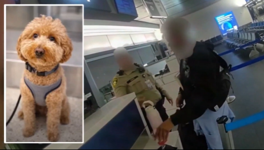 Captura de pantalla 2026-02-19 142810