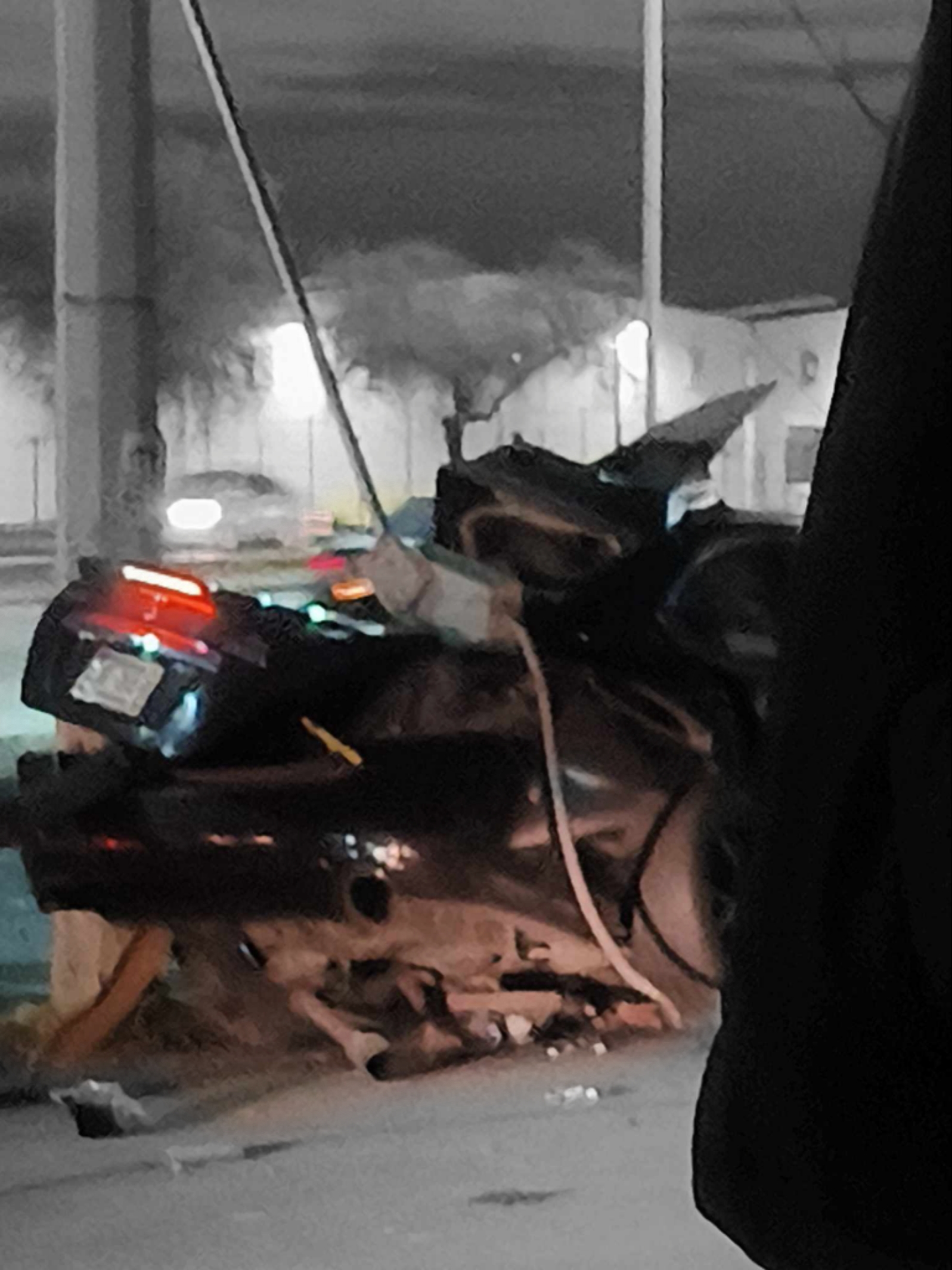 ColorPop1770473113683