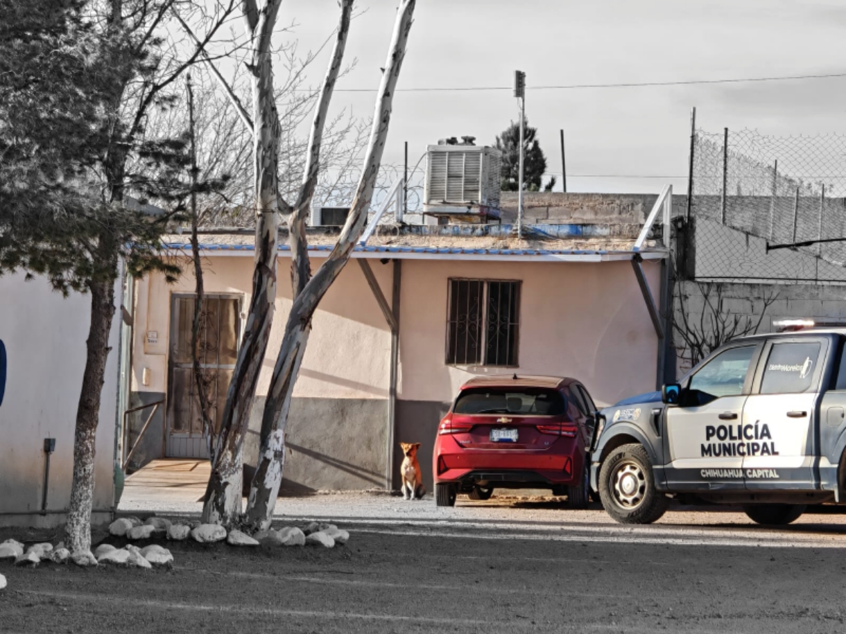 ColorPop1771432015629