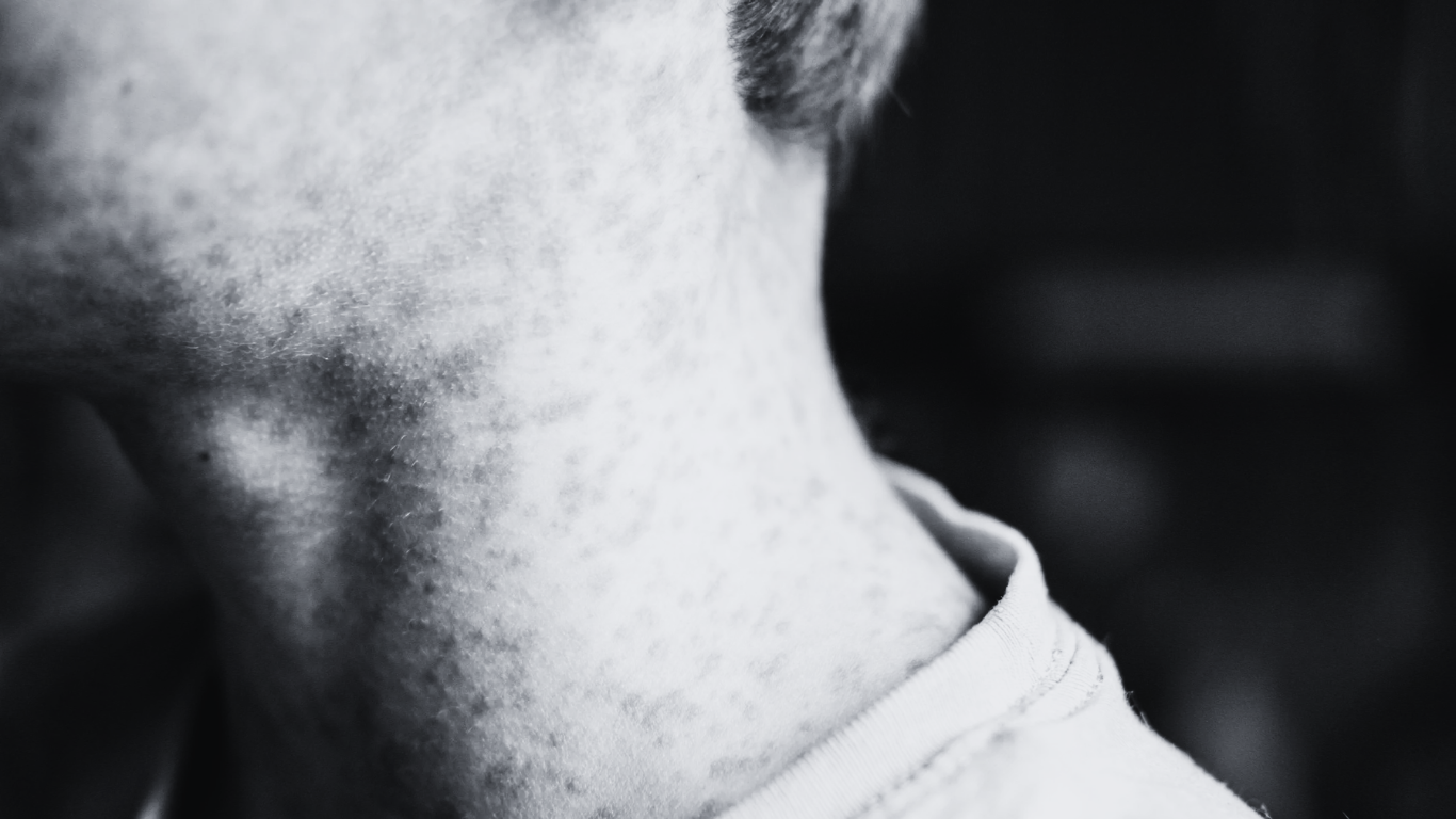 Galería de 2 imágenes (1)