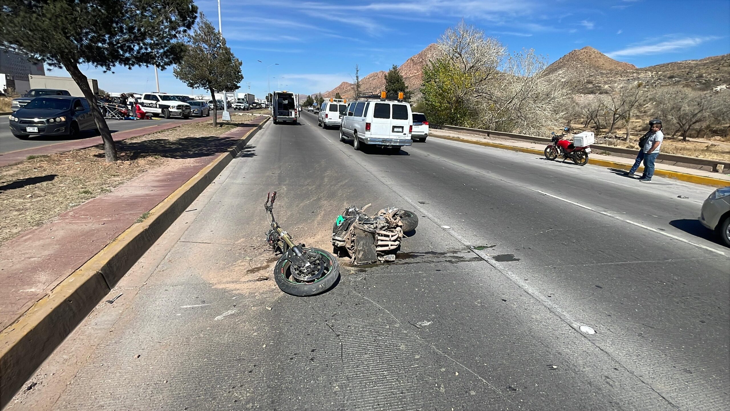 WhatsApp Image 2026-02-15 at 2.05.33 PM