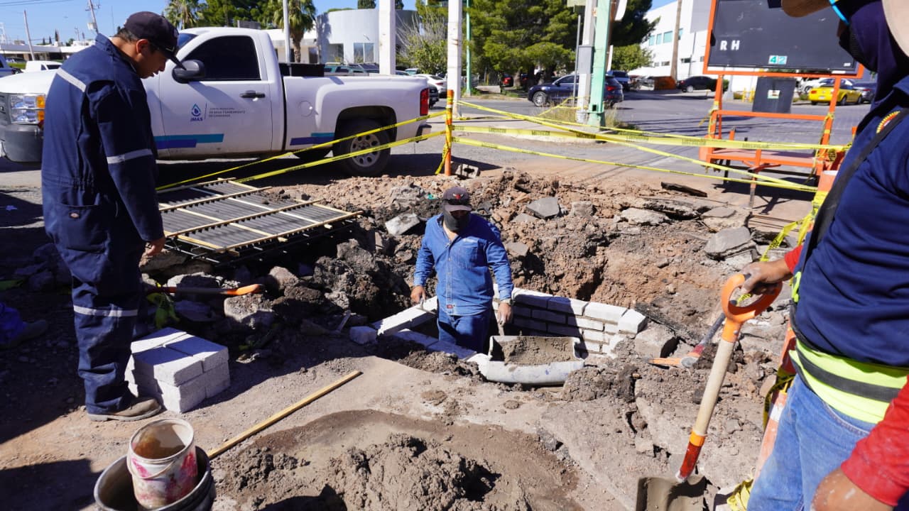 WhatsApp Image 2026-02-17 at 12.23.01 PM (1)