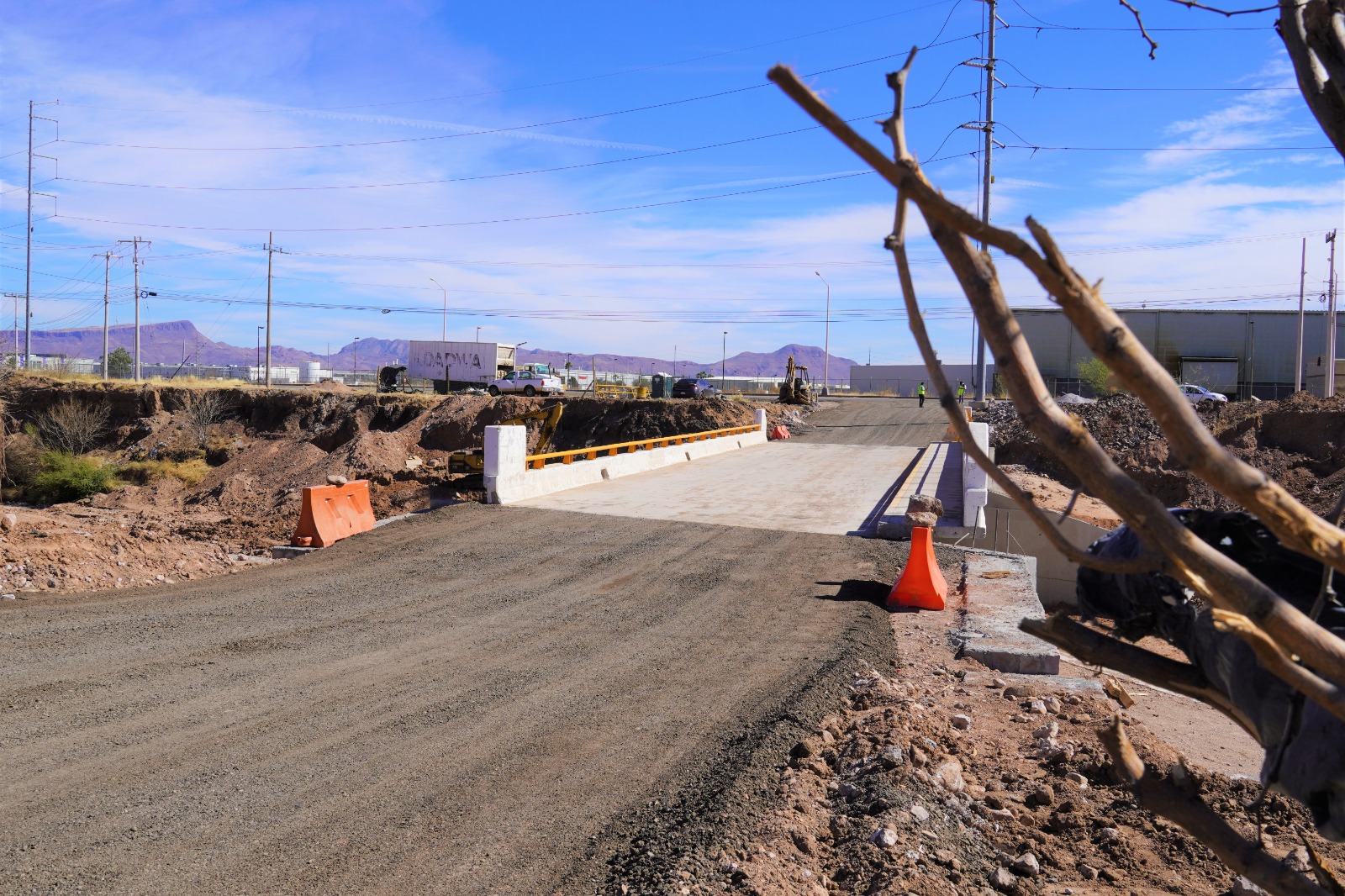 WhatsApp Image 2026-02-20 at 2.30.26 PM