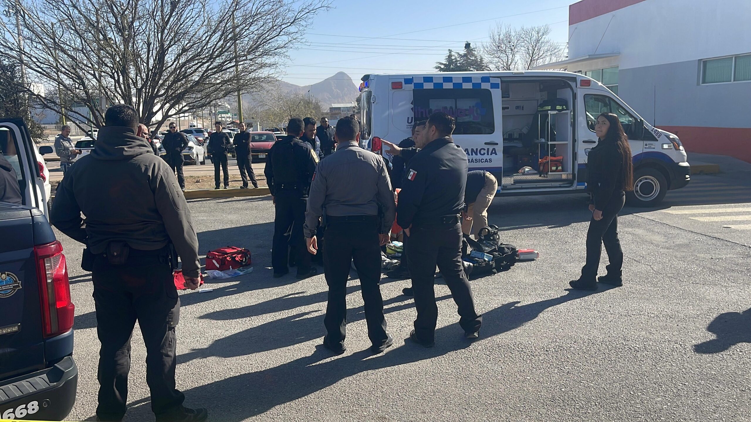 WhatsApp Image 2026-02-23 at 10.59.13 AM (1)