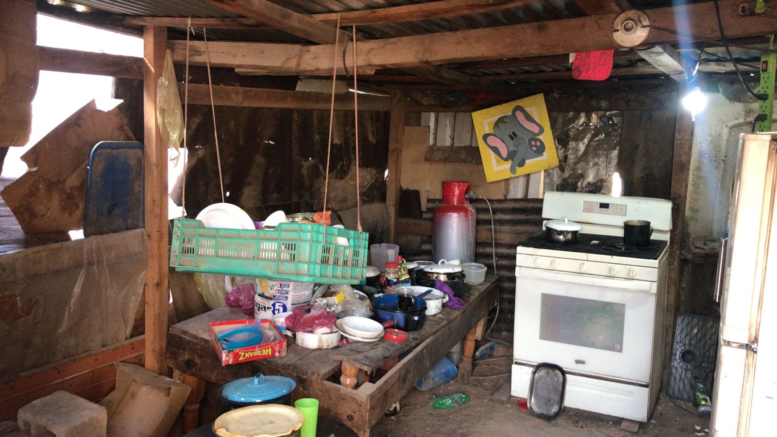 WhatsApp Image 2026-02-24 at 8.02.41 AM