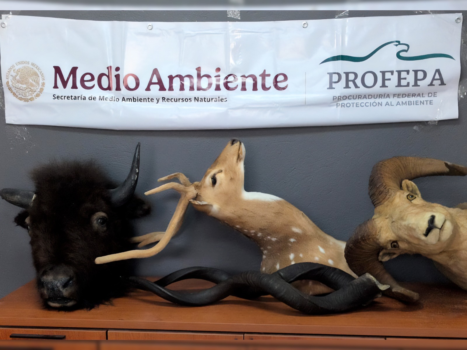 WhatsApp Image 2026-02-25 at 11.14.29 AM