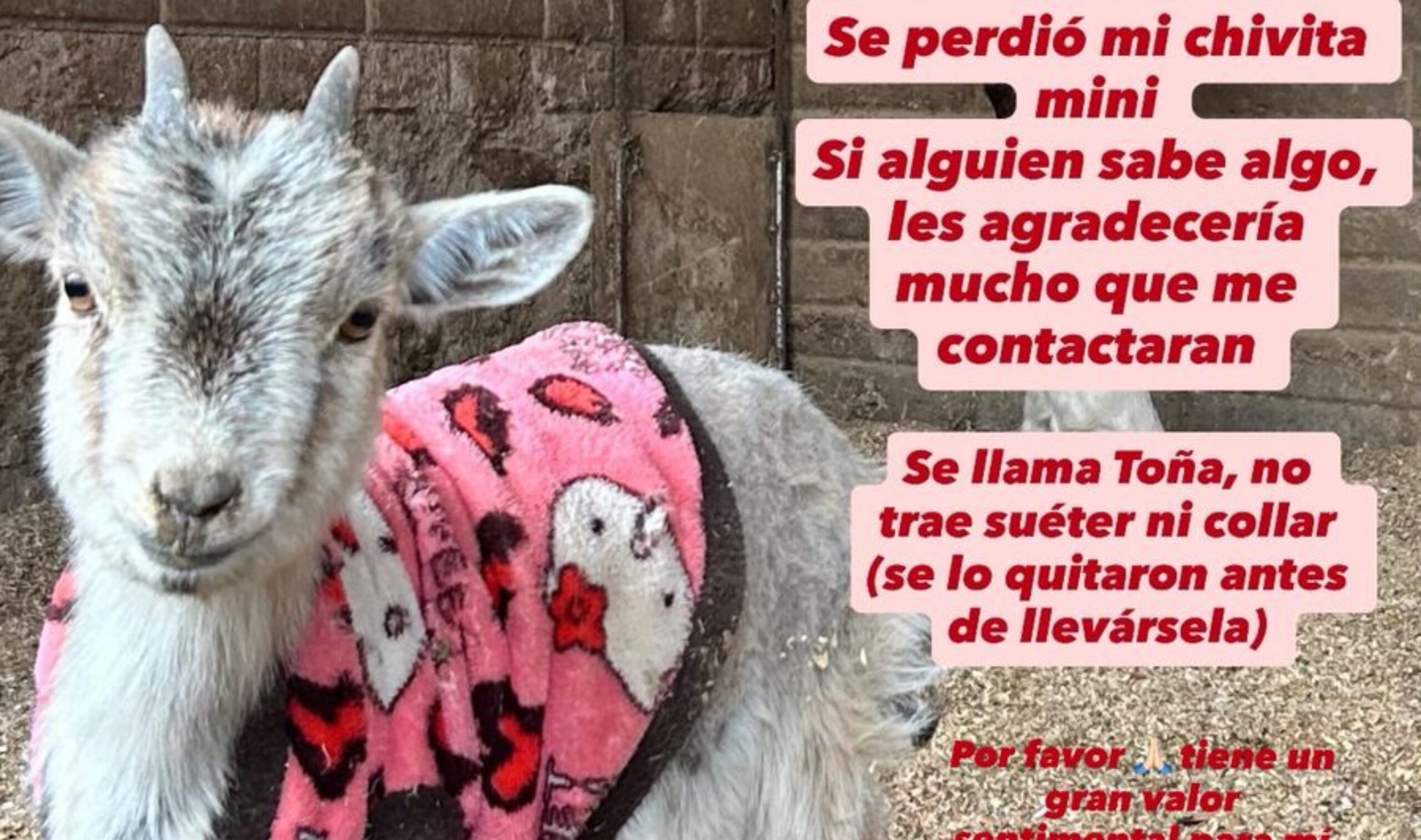 befunky_2026-1-1_7-26-49