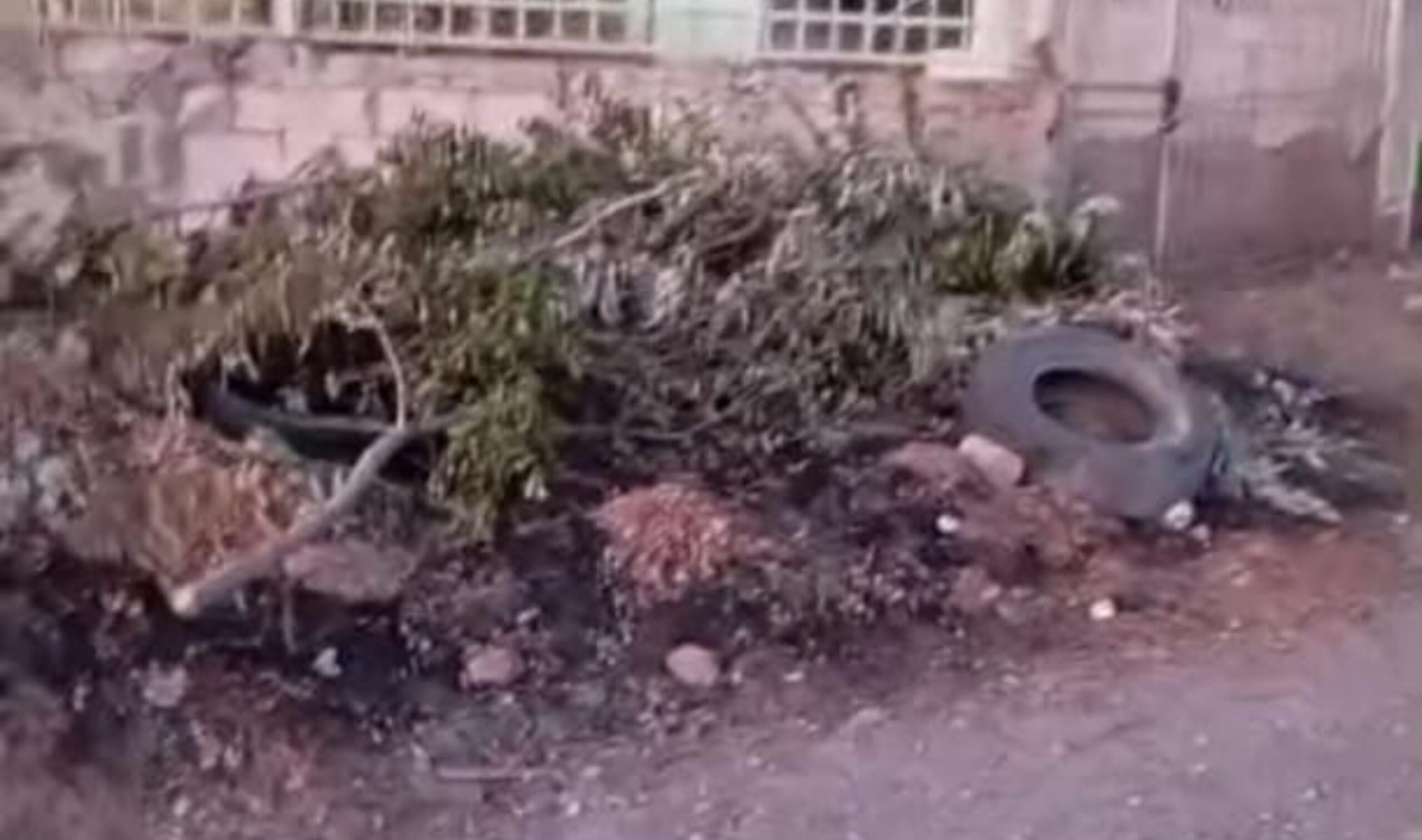 befunky_2026-1-1_7-44-52