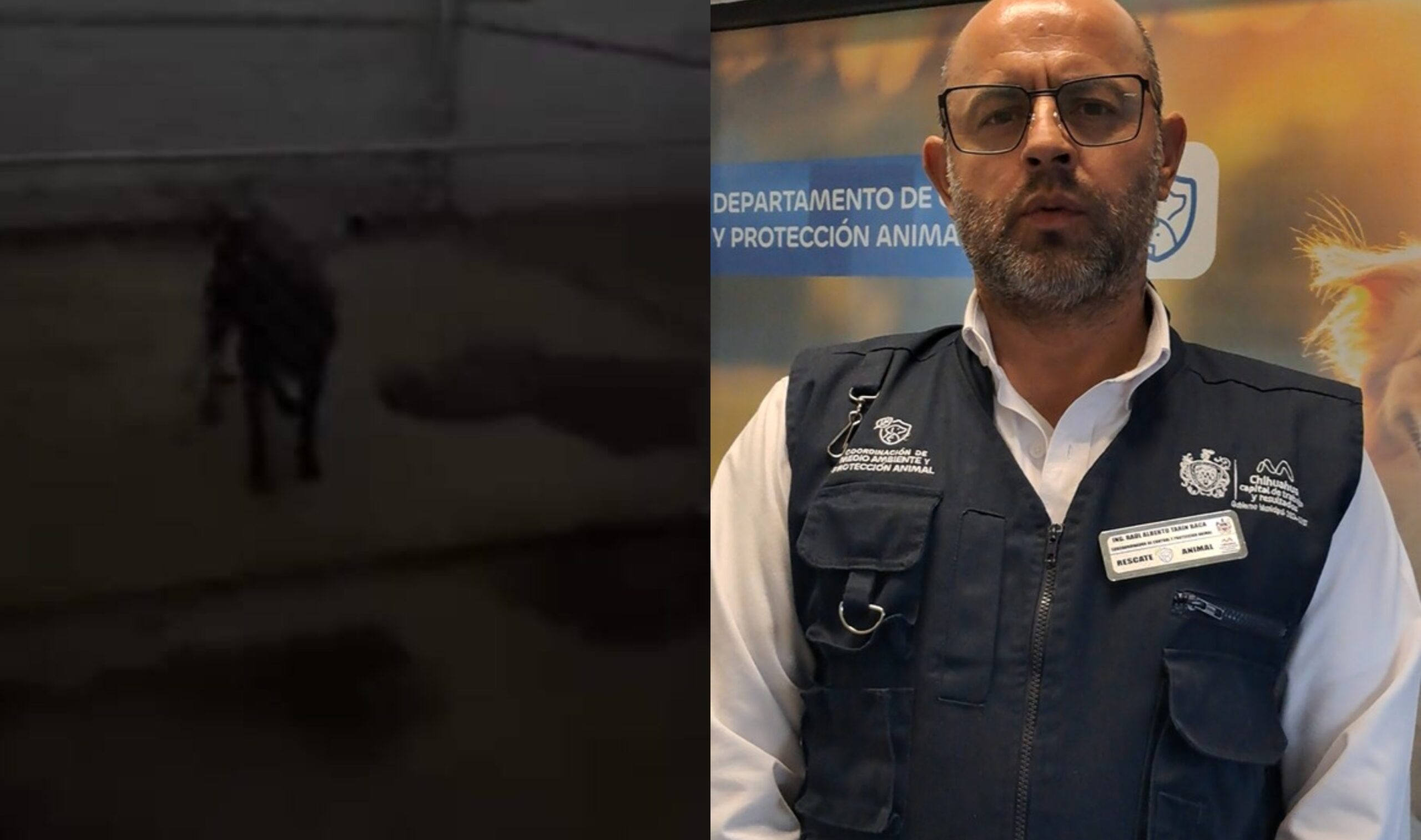 befunky_2026-1-3_7-22-15