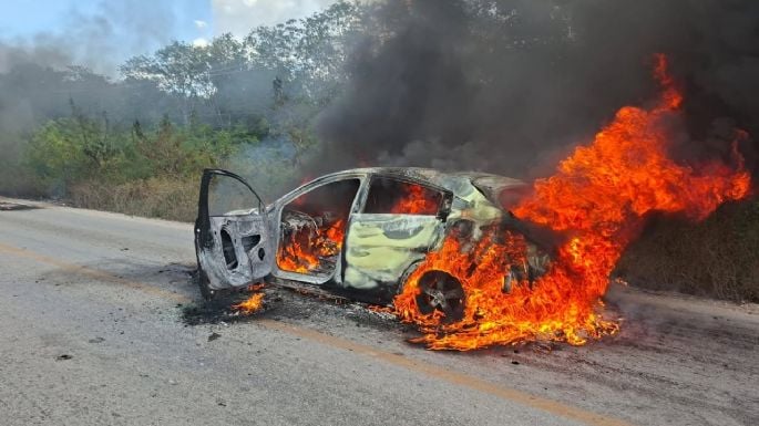 f685x385-242374_280067_5050