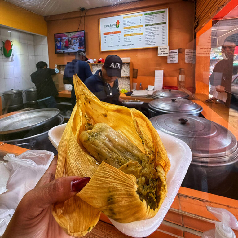 tamales_callejeros_CDMX_26_Nativitas-768x768