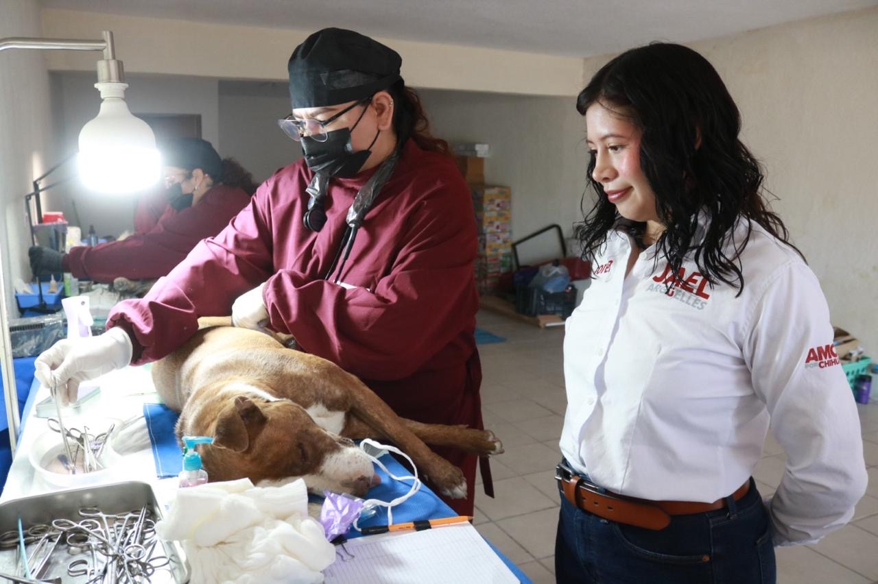 313de7a0-e11c-4ca0-8a56-6b2d69c31cd7