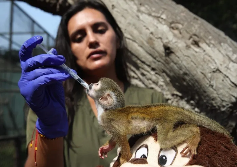 4f09872ea542d31bbcd11fd77c57a3d9c98e27dbw.jpg_245756009