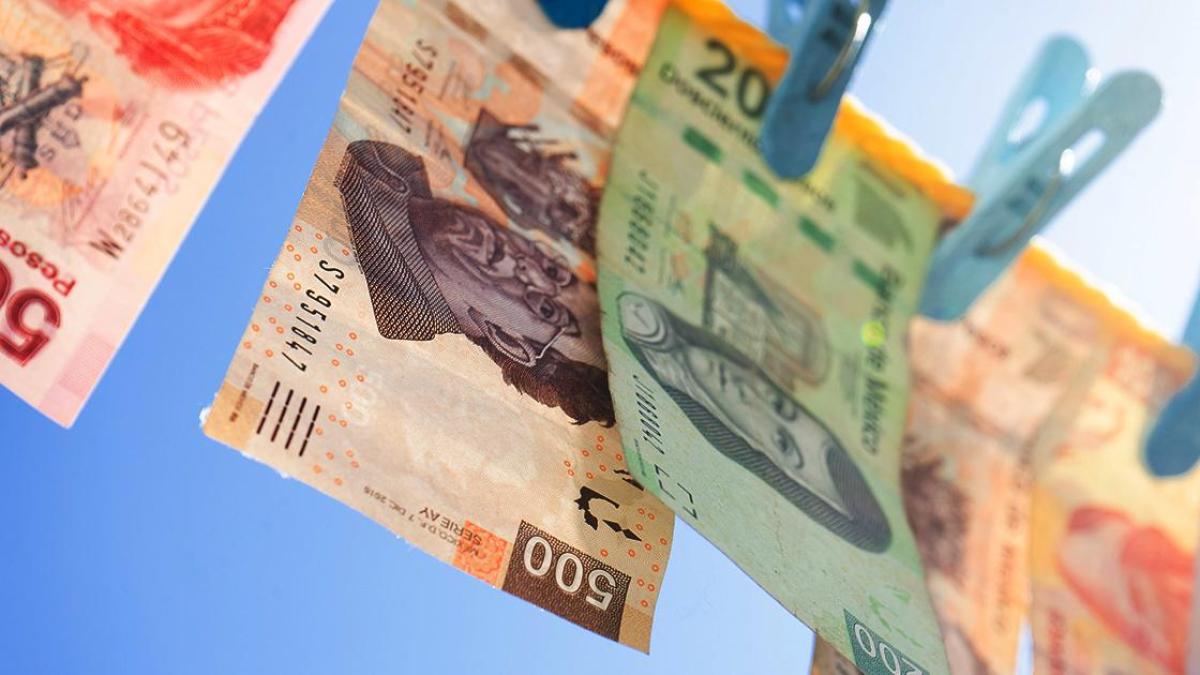 66e473218c77c.r_d.514-41-0