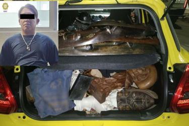 69bc6825bd211.r_d.396-289-4688