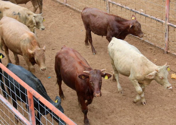 Captura-de-pantalla-2026-03-16-081156