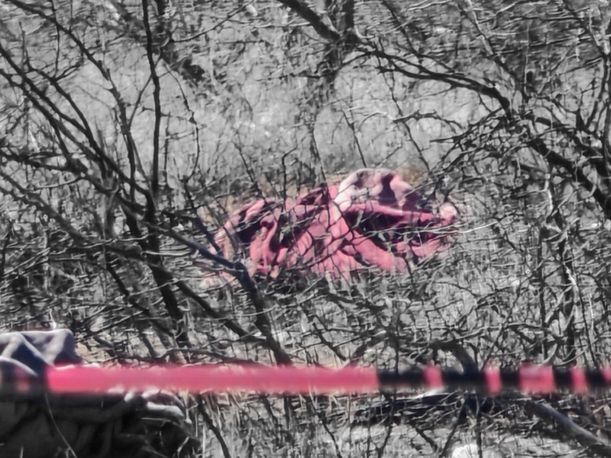 ColorPop1772646629424