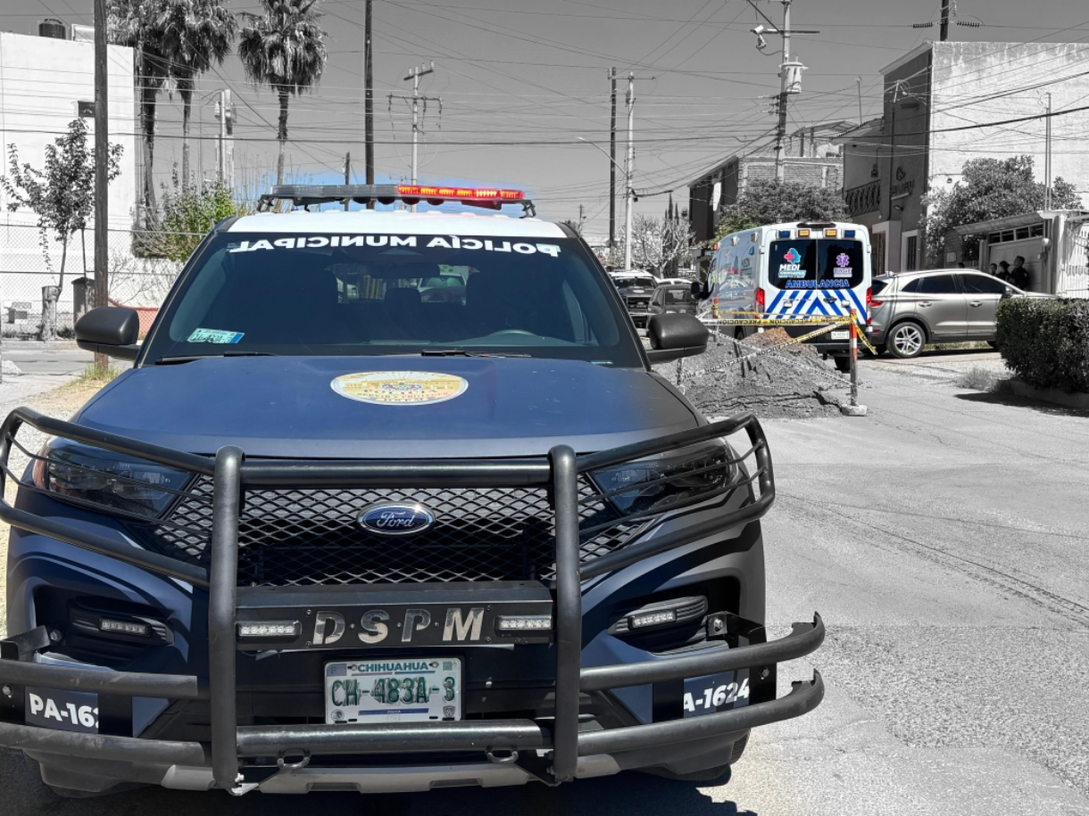 ColorPop1774033609917