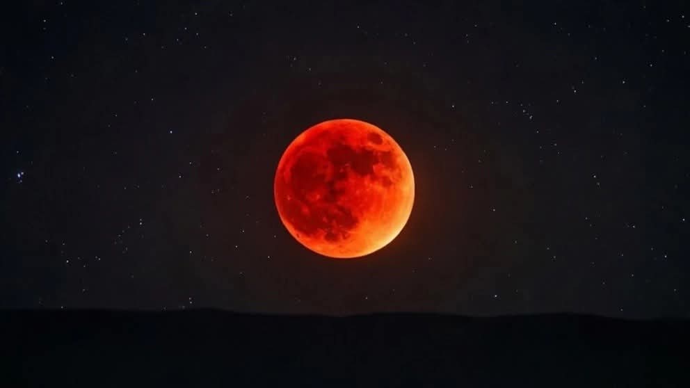 FB_IMG_1772540542656