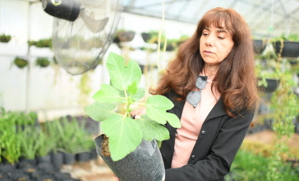 IMG-20260322-WA0002-1160x700