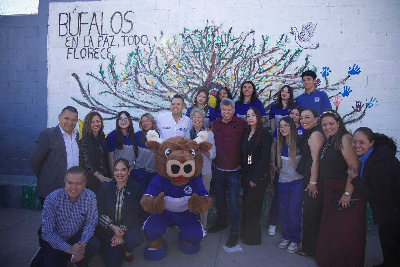 WhatsApp Image 2026-03-02 at 12.14.49 PM (1)