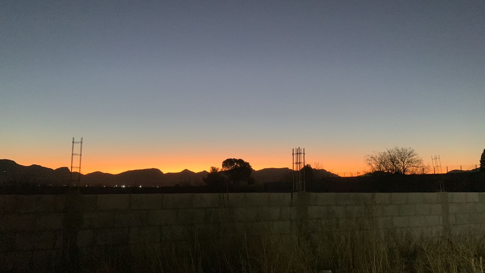 WhatsApp Image 2026-03-02 at 7.00.49 AM