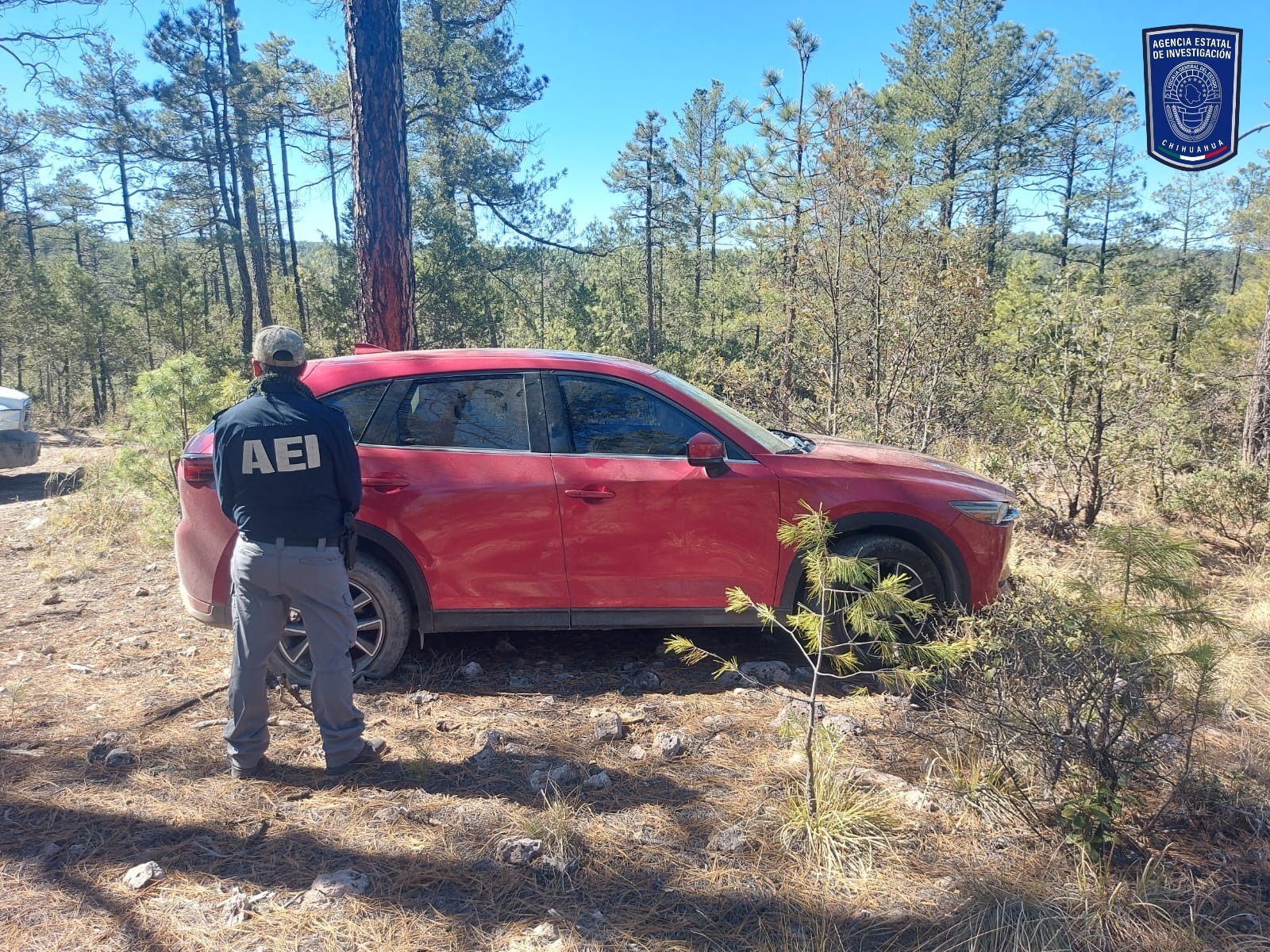 WhatsApp Image 2026-03-03 at 6.06.55 AM