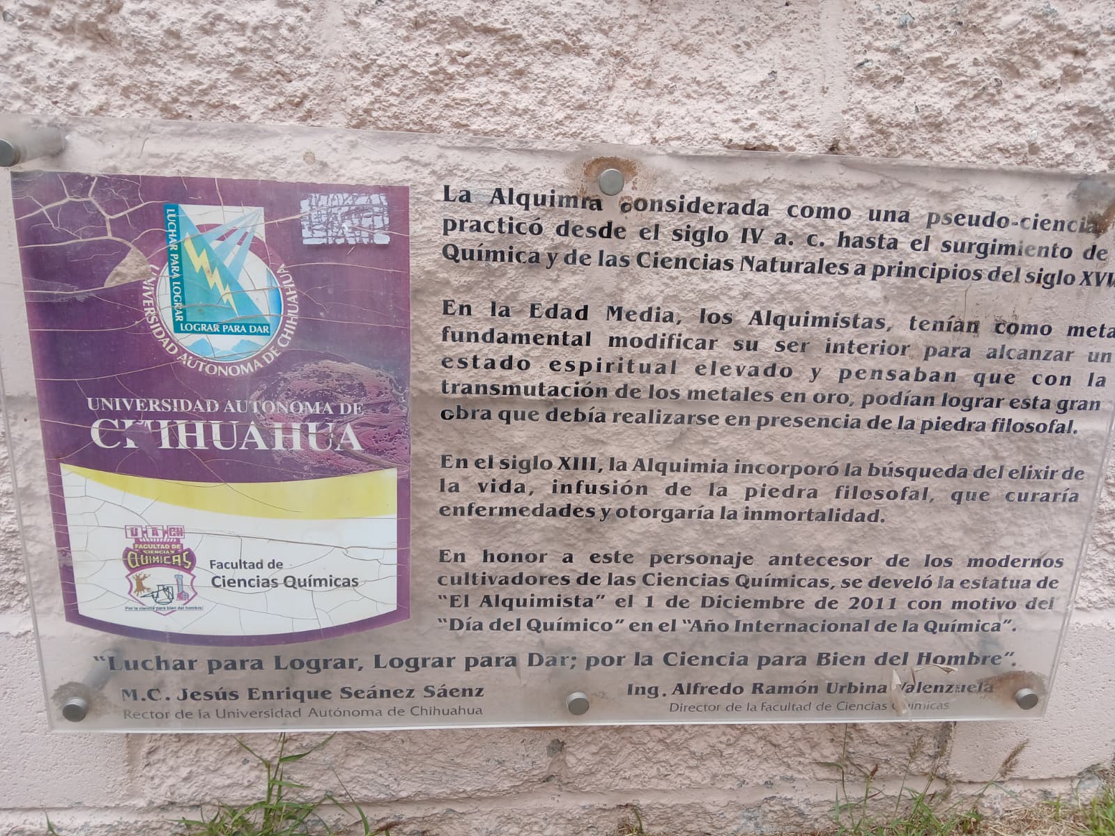 WhatsApp Image 2026-03-09 at 12.33.23 PM (4)