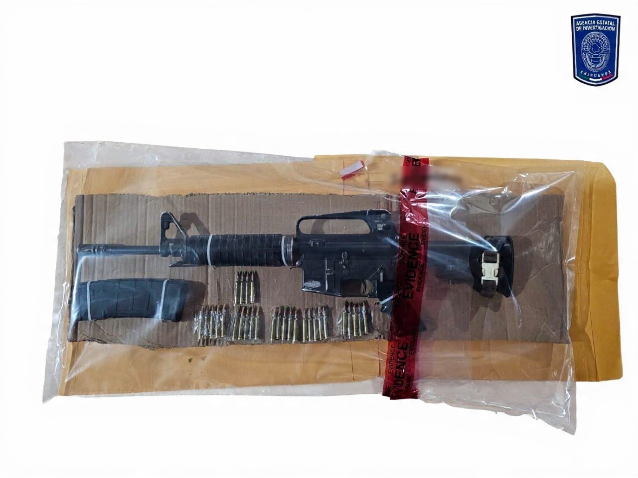 WhatsApp Image 2026-03-12 at 1.27.36 PM